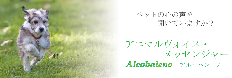 ペットの心の声を聴いていますか？アニマルヴォイス・メッセンジャー画像1